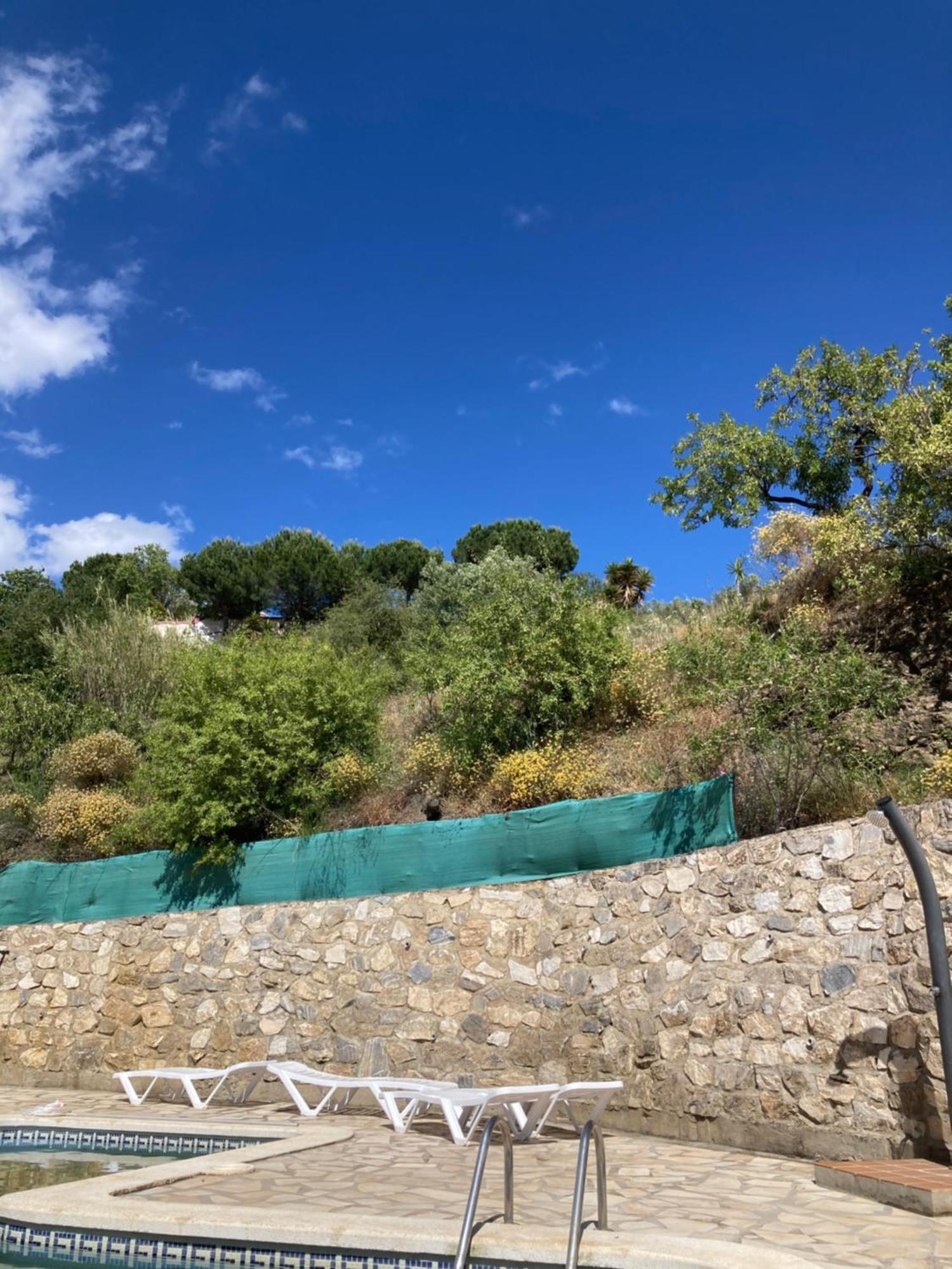 Canillas de Albaida Casa Los Almendros מראה חיצוני תמונה